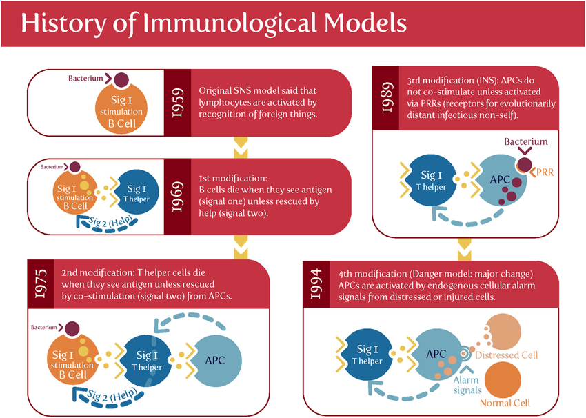 history_of_immune_models